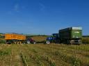 obr